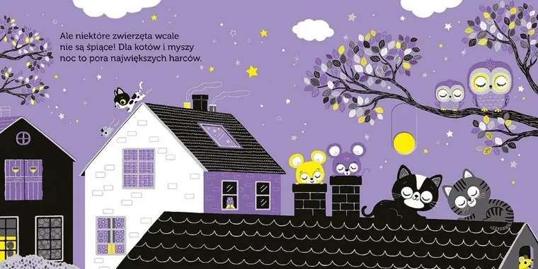 Akademia Mądrego Dziecka. Niesamowity spacer. Pod gwiazdami