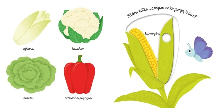 Akademia Mądrego Dziecka. Pierwsze słowa. Warzywa