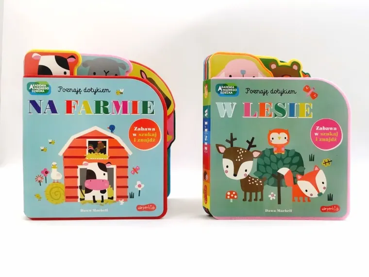 Akademia Mądrego Dziecka. Poznaję dotykiem. Zabawa w szukaj i znajdź. W lesie.