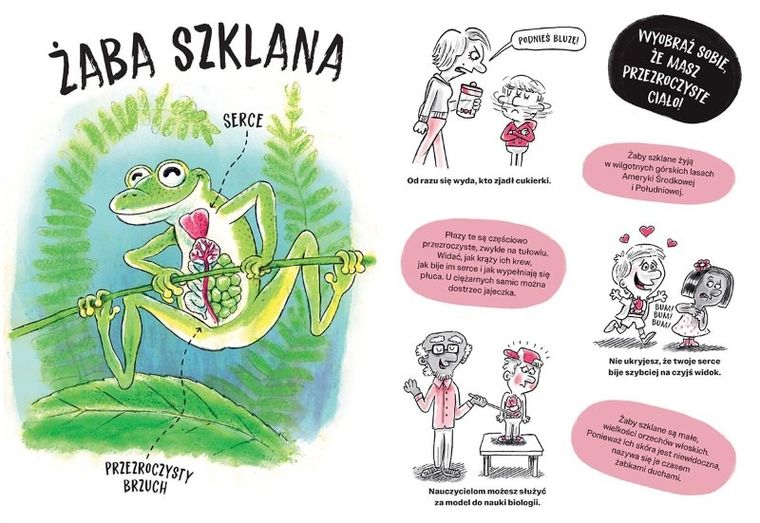 Akademia Mądrego Dziecka. Zwierzaki cwaniaki. Chcę wiedzieć