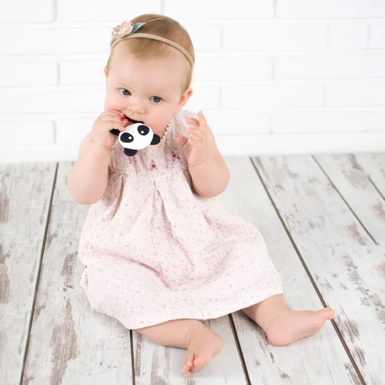 Akuku, Panda, gryzak silikonowy