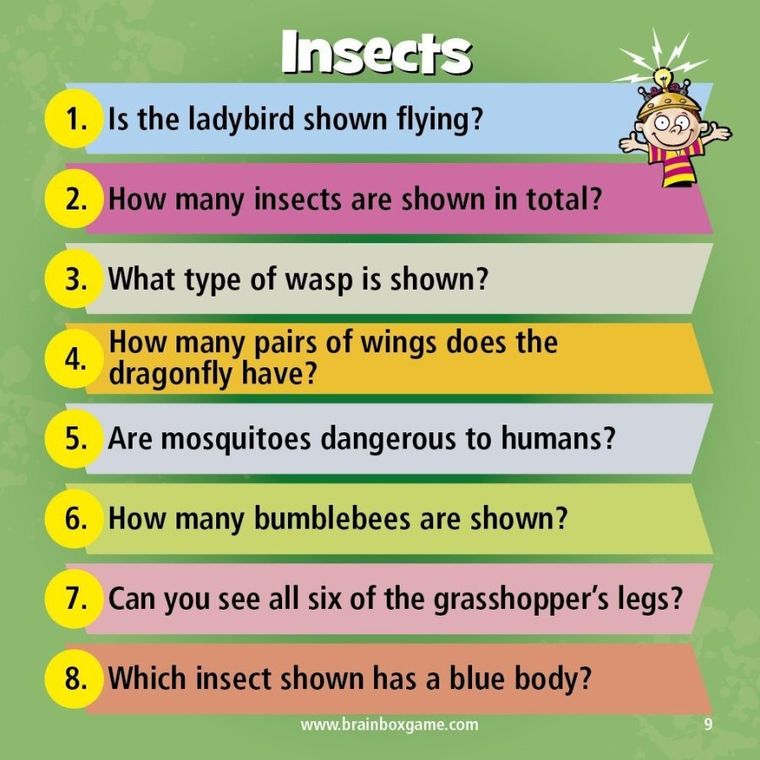 Albi, BrainBox, Nature, gra edukacyjna