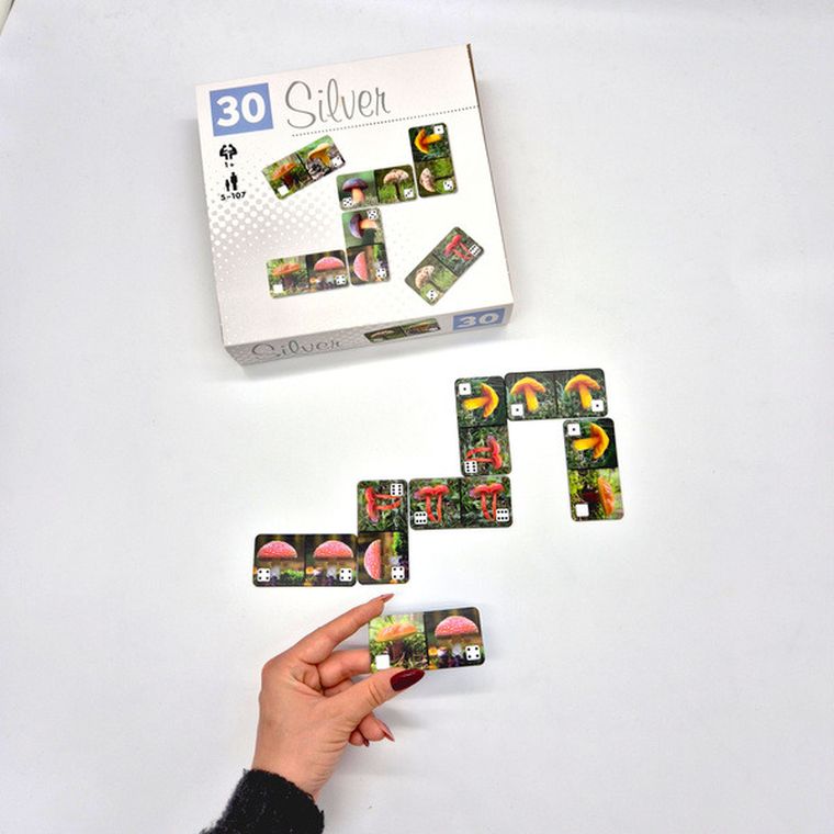 Alexander, Silver, Domino Grzyby, gra pamięciowa