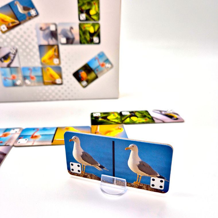 Alexander, Silver, Domino Ptaki, gra pamięciowa