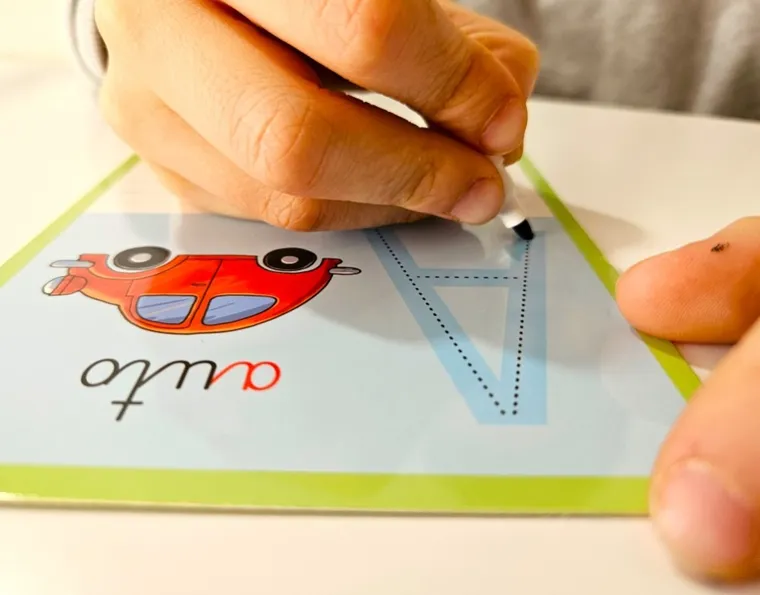 Alexander, Sowa Mądra Głowa, Literki, pisanie - zmazywanie, zabawka edukacyjna