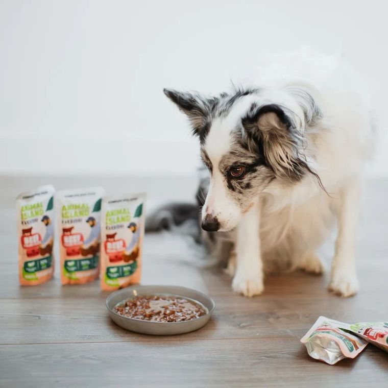 Animal Island, wołowina fileciki w rosole, karma mokra dla psa, 150g, 10 szt.