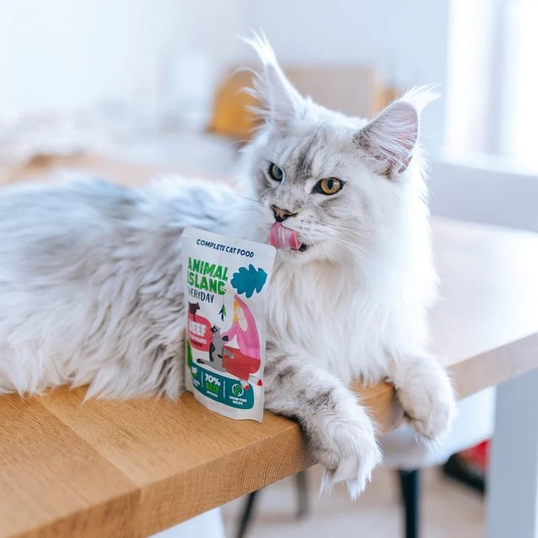 Animal Island, wołowina w rosole, karma mokra dla kota, 85g, 40 szt.