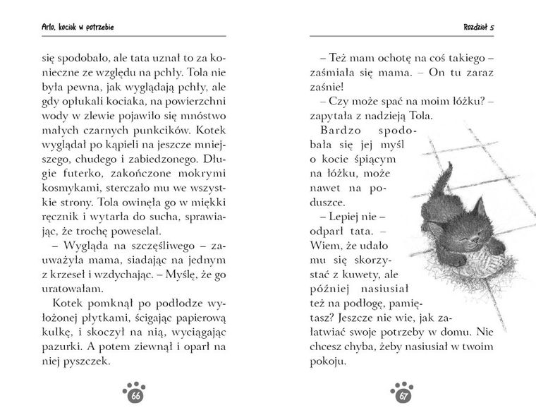 Arlo, kociak w potrzebie. Zaopiekuj się mną