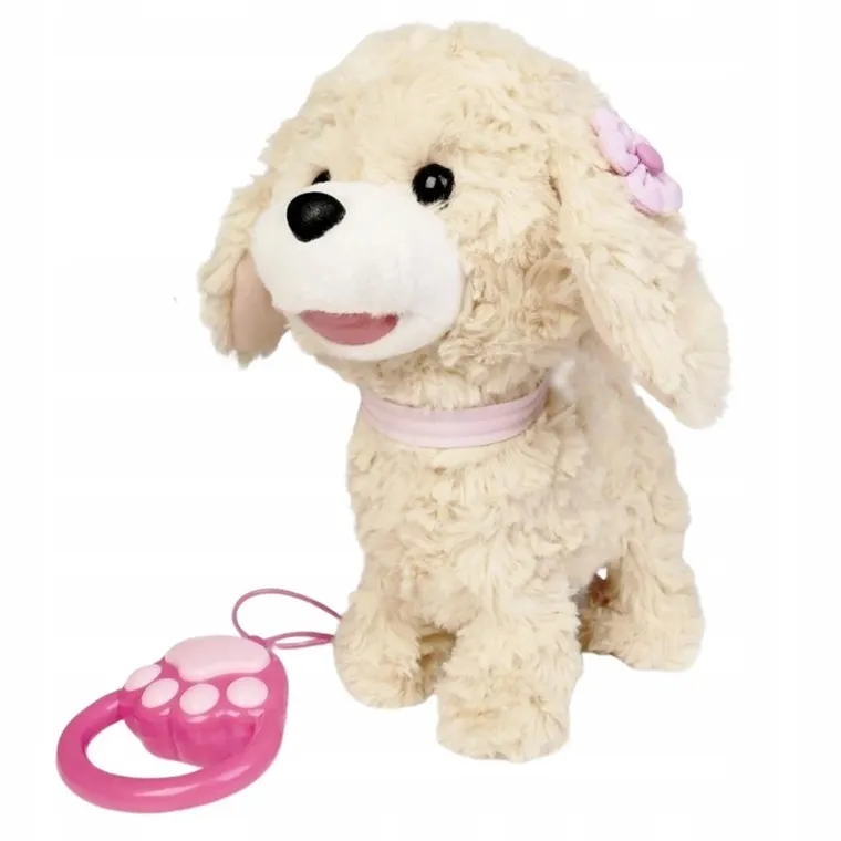 Artyk, Natalia, piesek chodzący na smyczy