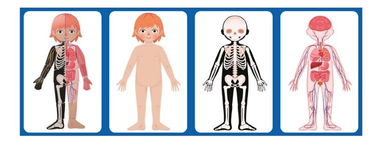 Askato, Genialny dzieciak, Moje ciało, puzzle magnetyczne, 108 elementów