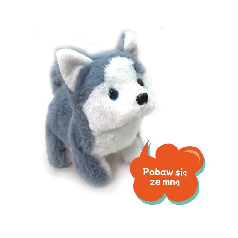 Askato, Twój pupilek, piesek, zabawka interaktywna