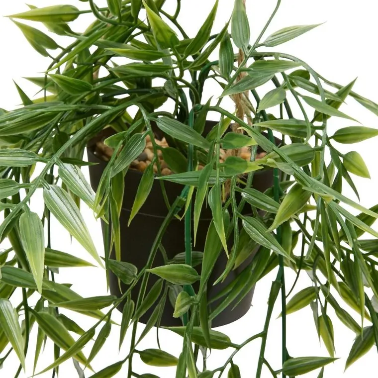 Atmosphera, Liora, bambus wiszący w doniczce, 67 cm