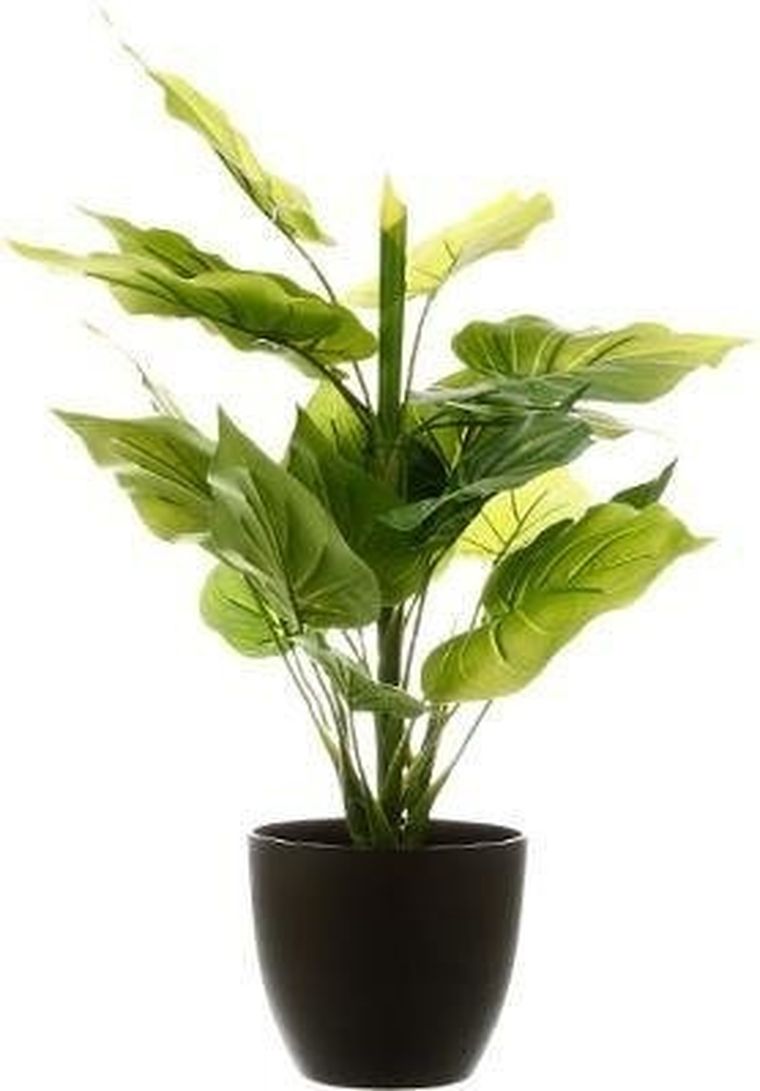 Atmosphera, sztuczna roślina ozdobna, 45 cm, czarna doniczka