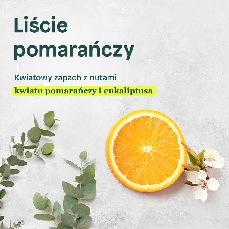 Attitude, mydło do rąk, Orange Leaves, 2L
