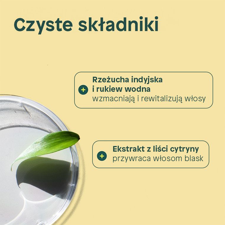 Attitude, odżywka oczyszczająca do włosów z liśćmi cytryny i białą herbatą, 240 ml