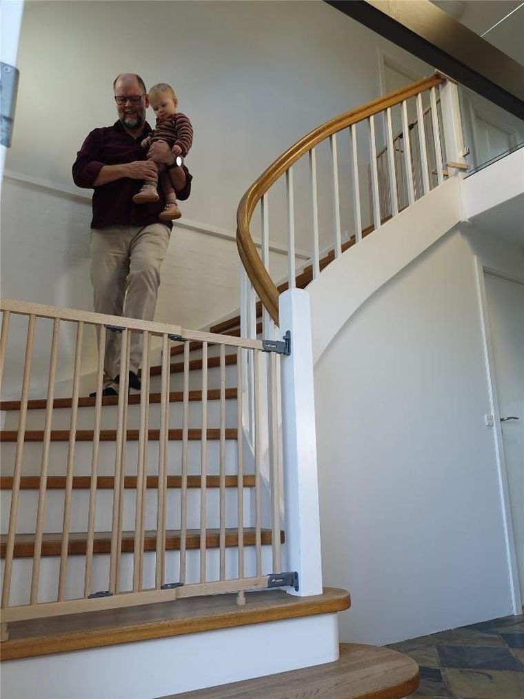 Baby Dan, Mona, bramka ochronna, buk