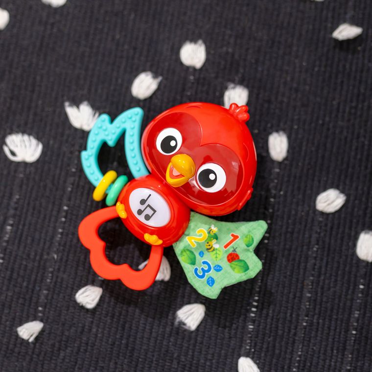 Baby Einstein, Roxy, sensoryczna zabawka interaktywna