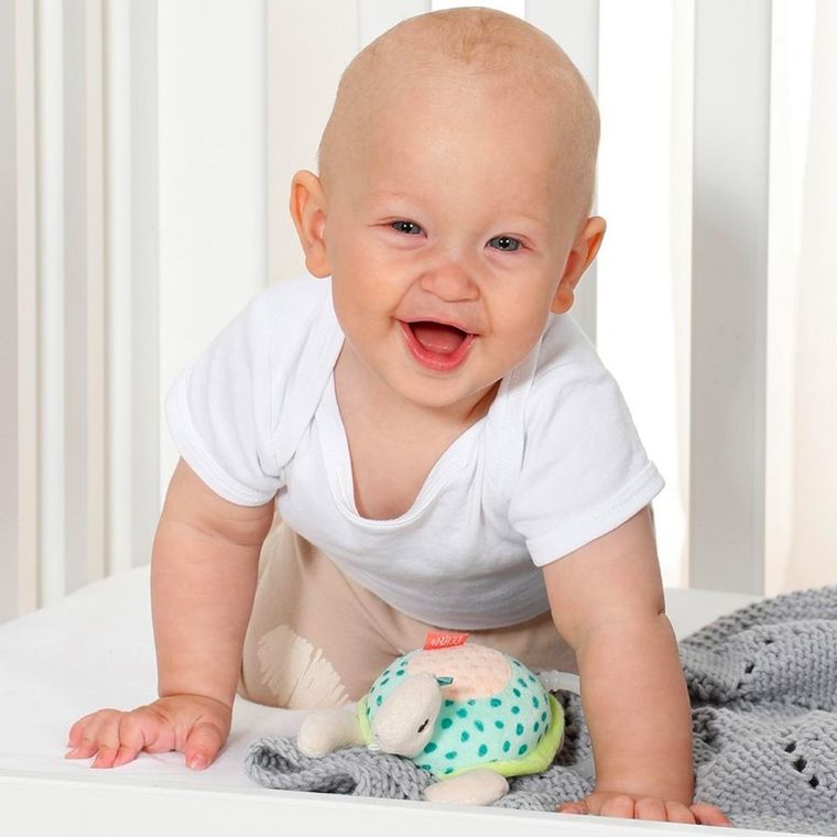 BabyFehn, Żółw, Morze, maskotka z pozytywką