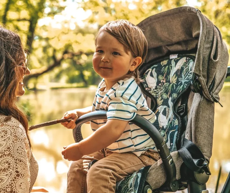 BabyMatex, Paddi'x, Ptaki, wkładka redukująca nacisk do wózka, fotelika, 9-18 kg