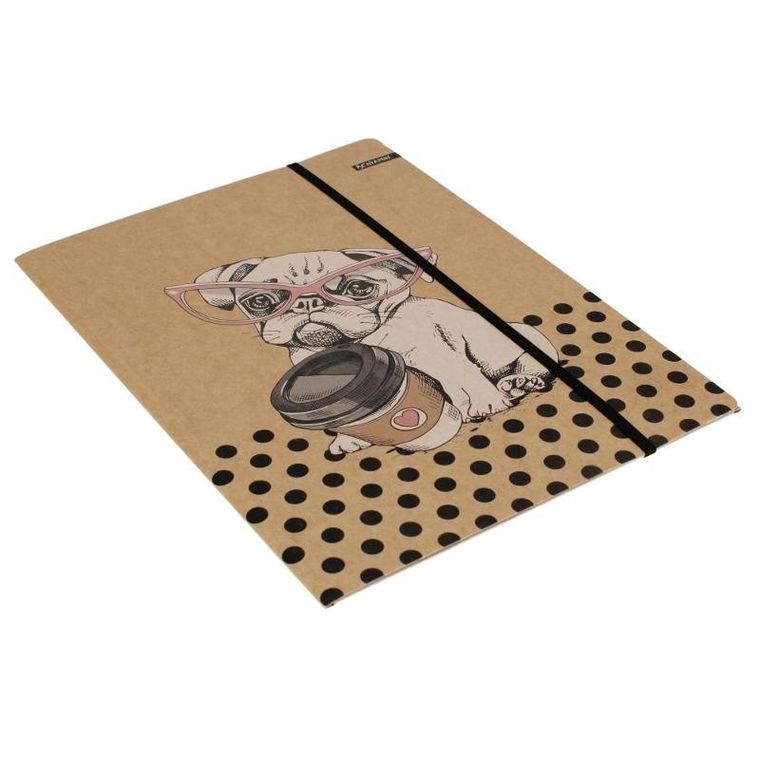 Beniamin, teczka z gumką A4, kraft liner, 1 szt.