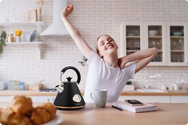 Berdsen, czajnik elektryczny z termometrem, czarny, 1.7l, BD-701