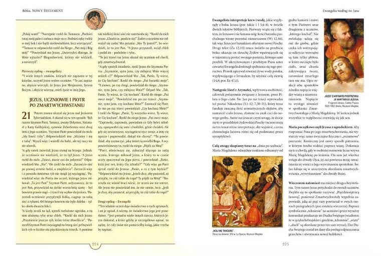 Biblia. Nowy Testament. Tekst, komentarz