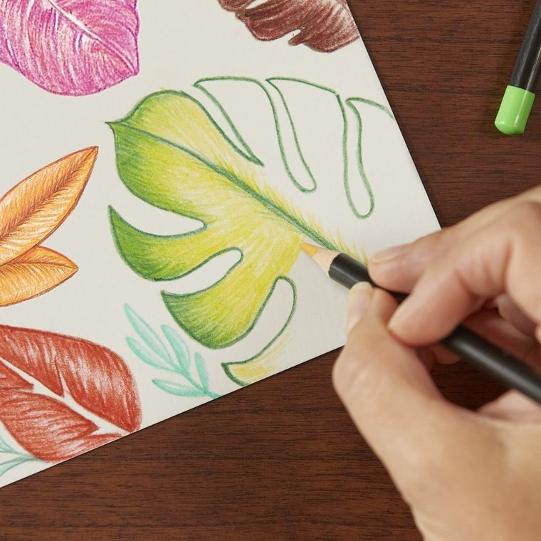 Bic, Intensity Premium, kredki ołówkowe, 12 kolorów