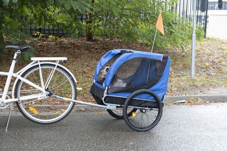 Bicycle Gear, przyczepka rowerowa dla zwierząt, do 40 kg