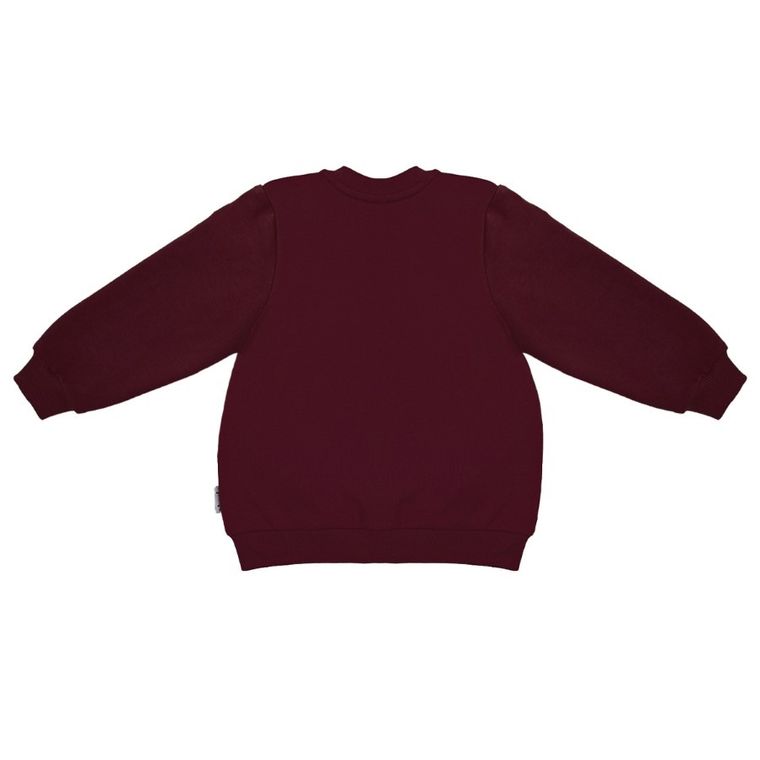 Bluza chłopięca, rozpinana, bordowa, Nicol
