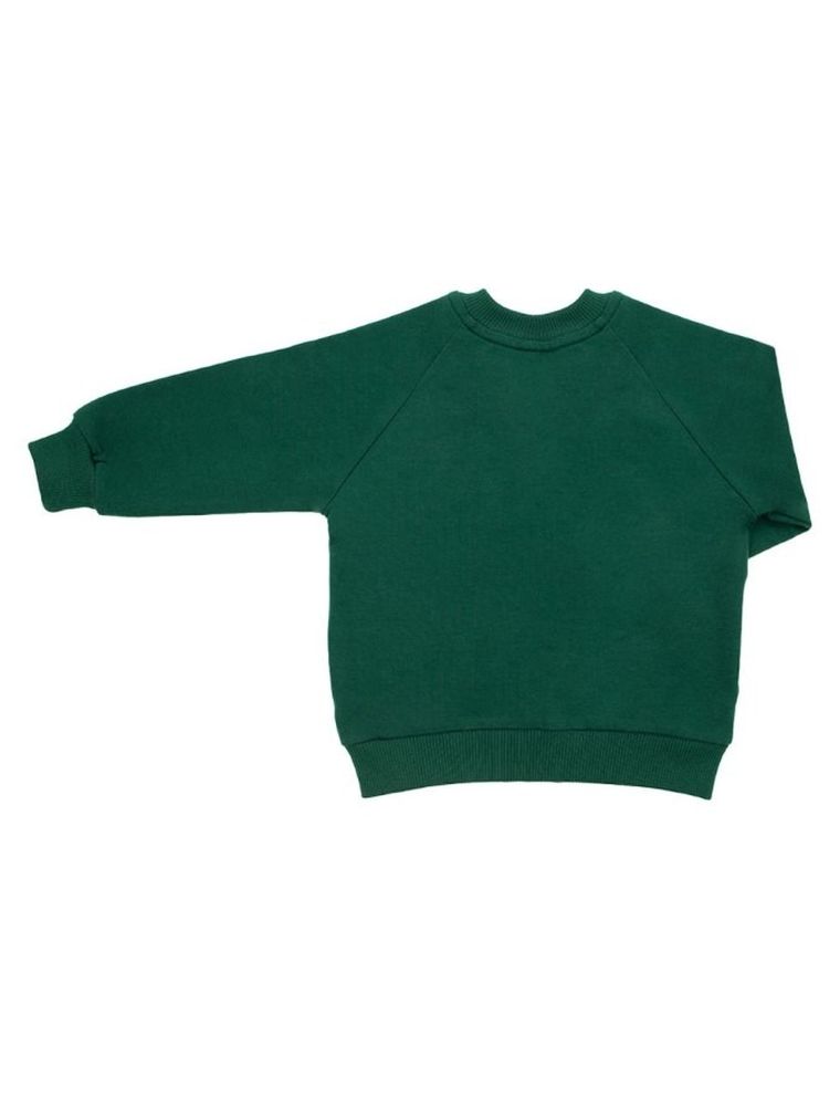 Bluza chłopięca, rozpinana, zielona, Nicol