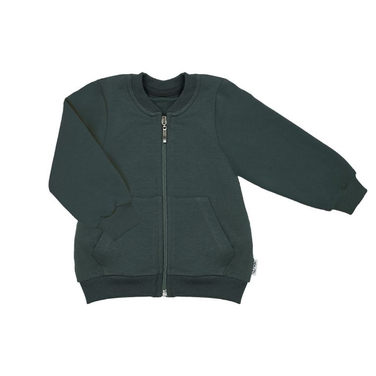 Bluza chłopięca, rozpinana, zielona, Nicol