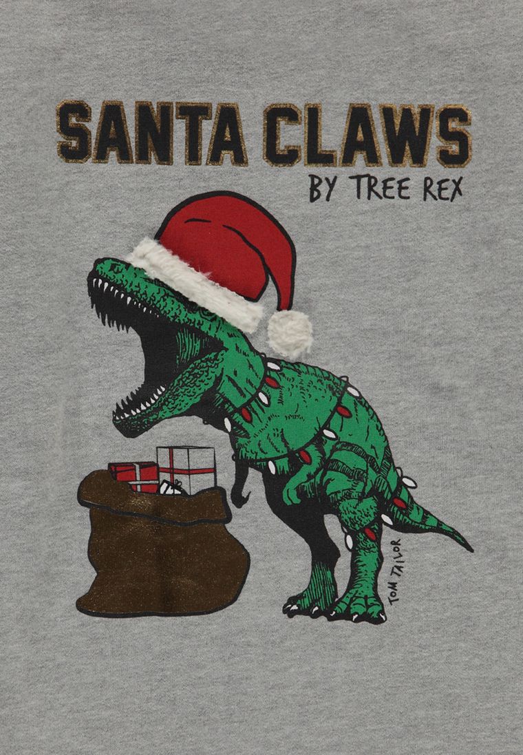 Bluza chłopięca, szara, Tom Tailor