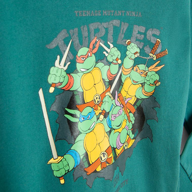 Bluza chłopięca z kapturem, khaki, Wojownicze Żółwie Ninja, Licence Brand