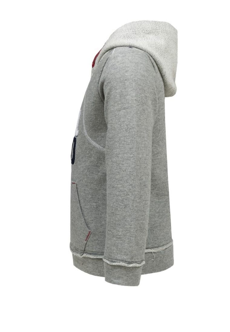 Bluza chłopięca z kapturem, szara, Lief