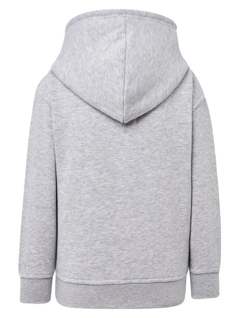 Bluza chłopięca z kapturem, szara, Tup Tup