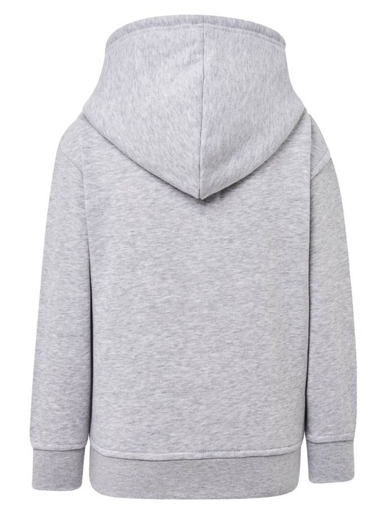 Bluza chłopięca z kapturem, szara, Tup Tup