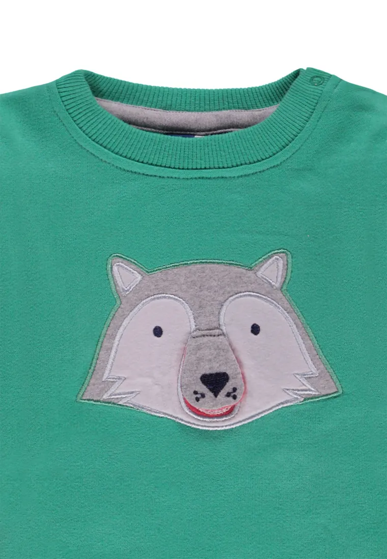 Bluza chłopięca, zielona, Tom Tailor