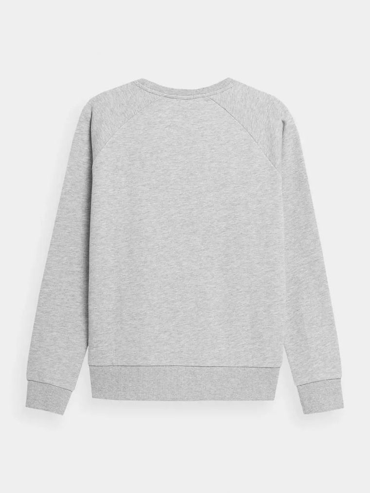 Bluza damska, szara, 4F