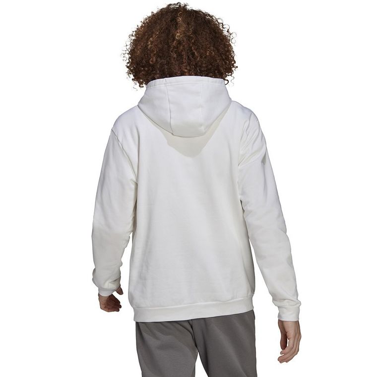 Bluza męska z kapturem, biała, Adidas Entrada 22 Hoody