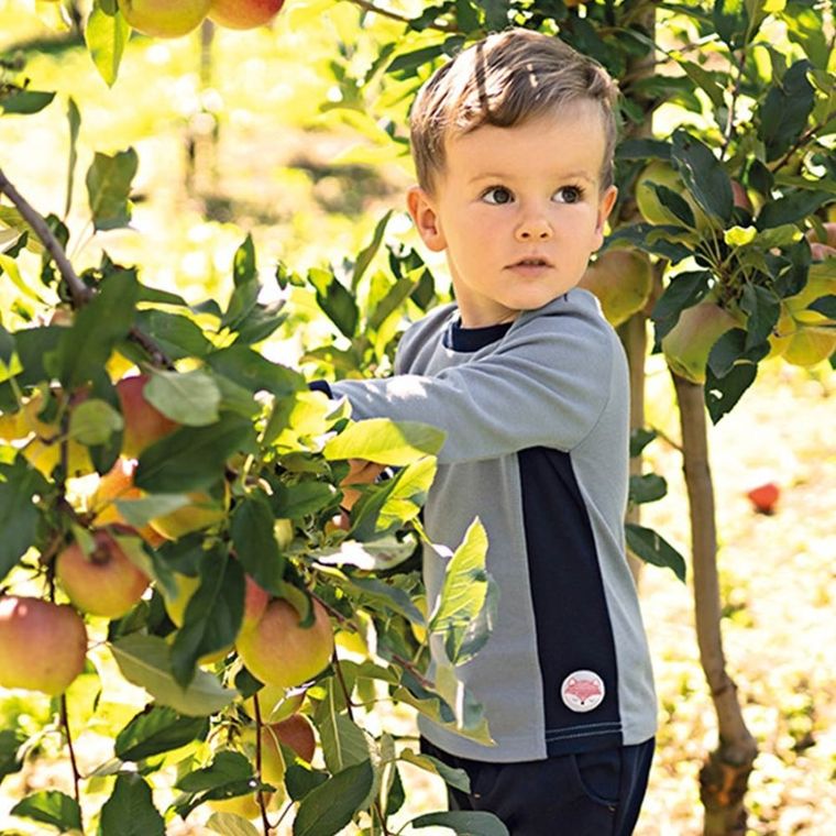 Bluzka chłopięca z długim rękawem, szara, Eevi