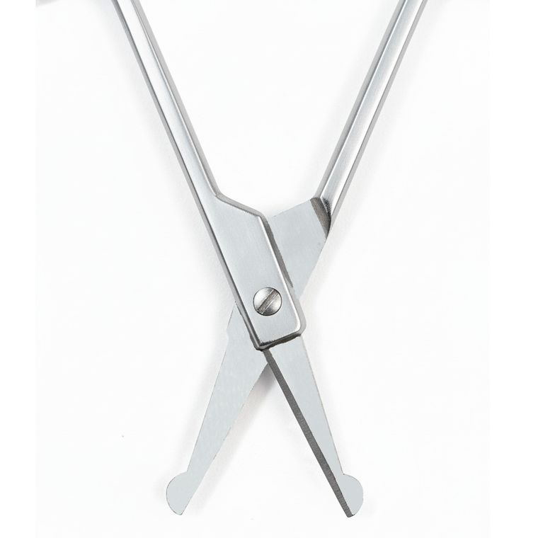 Bocioland, nożyczki metalowe