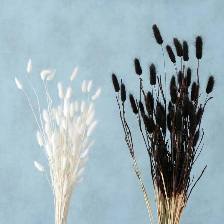 Boltze Home, ozdobne gałązki do wazonu, suszone, 70 cm