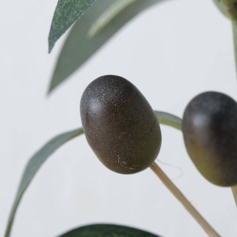 Boltze Home, sztuczne drzewko oliwne, 70-25 cm