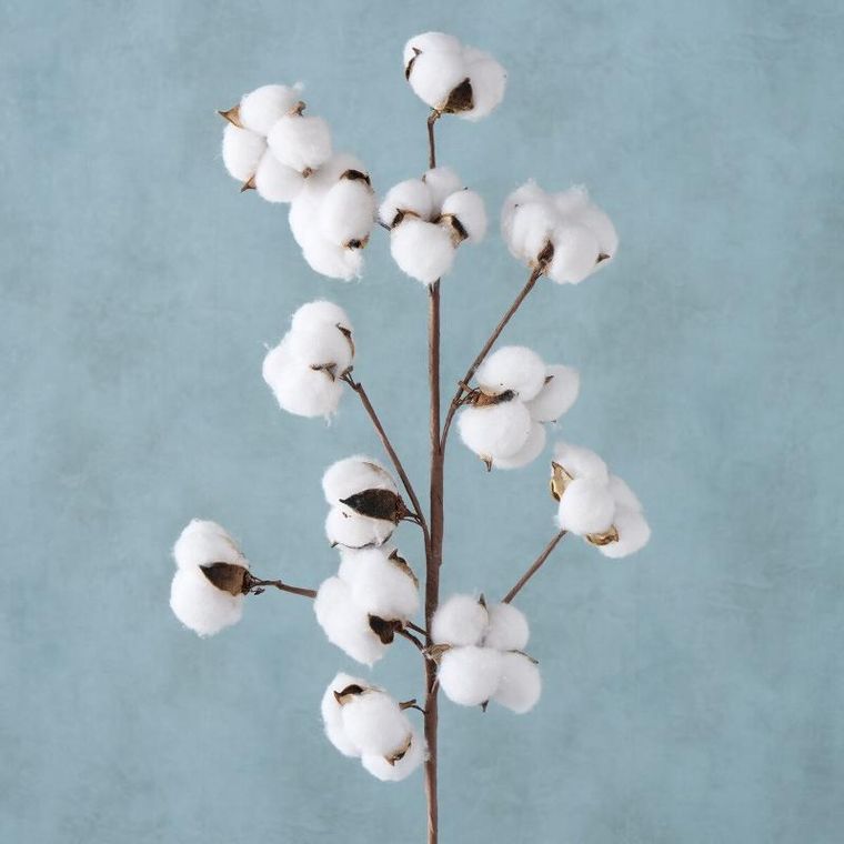 Boltze, sztuczna gałązka bawełny, 68 cm