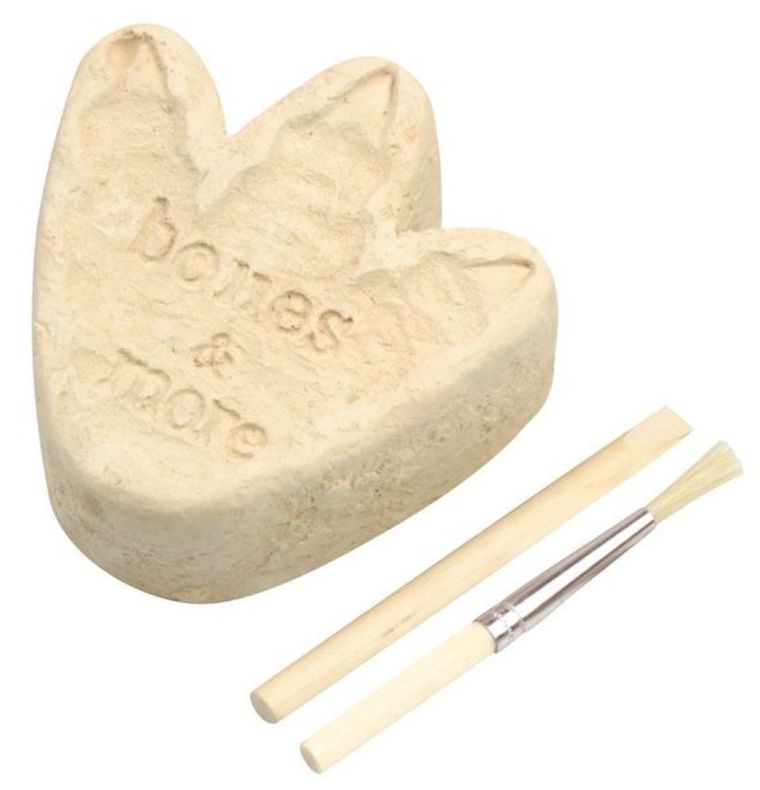 Bones&More, Duży szkielet dinozaura, wykopalisko, odcisk łapy