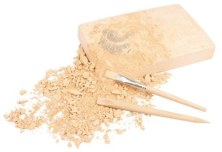 Bones&More, wykopalisko na kamieniu, szkielet dizozaura