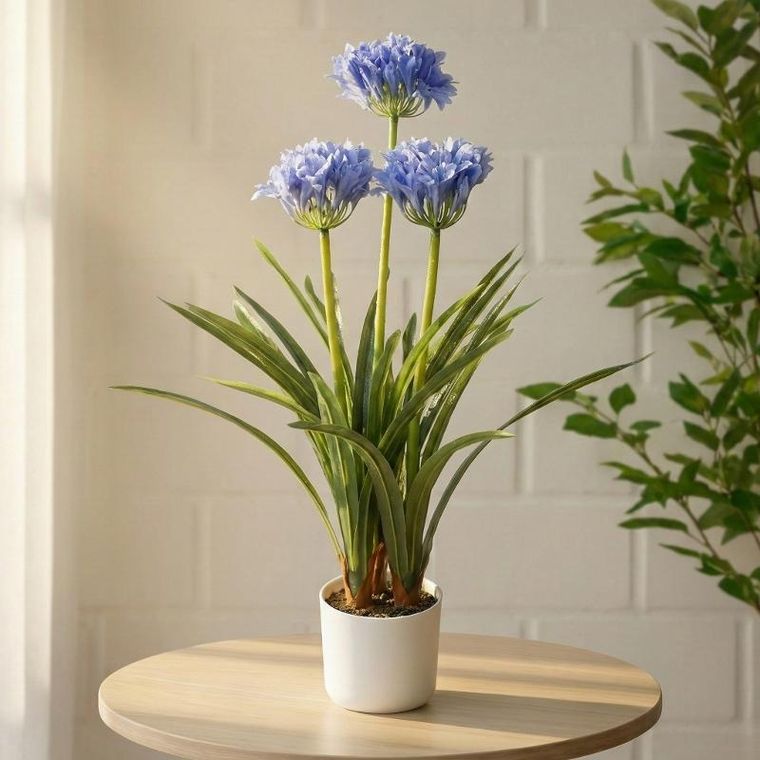 Botanical Decoration, Agapant, sztuczny kwiat w doniczce, 50-80 cm