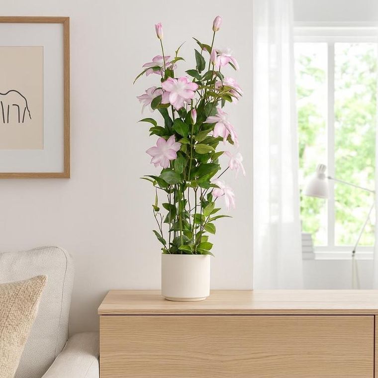 Botanical Decoration, Blomma, sztuczny kwiat doniczkowy, 98 cm