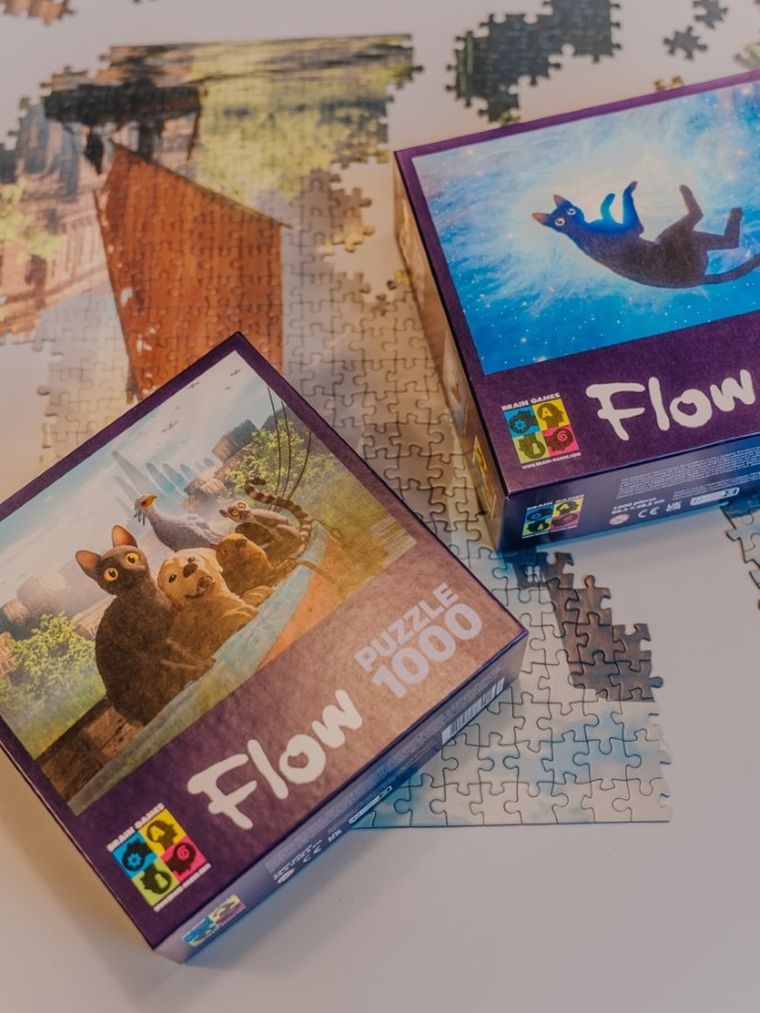 Brain Games, Flow, Movie Characters, puzzle, 1000 elementów