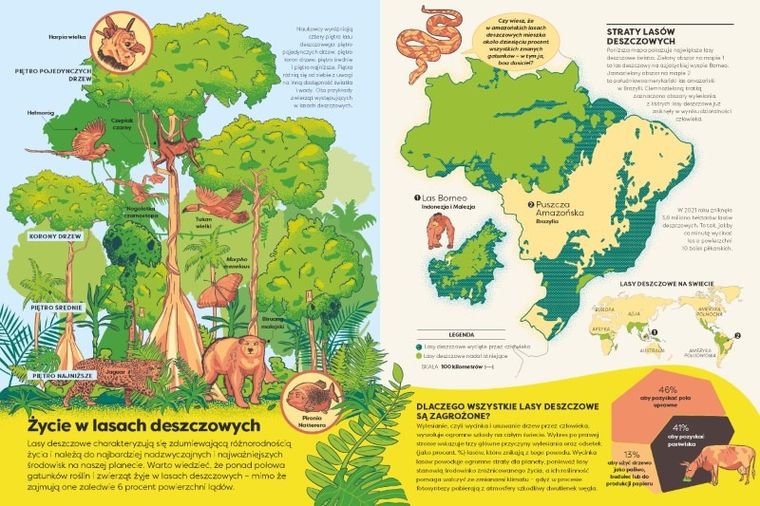 Britannica Encyklopedia Infografika